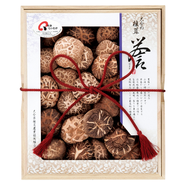 啪ő_Ƌg 啪Yő ԓ~(ǂ) _ (_-70)